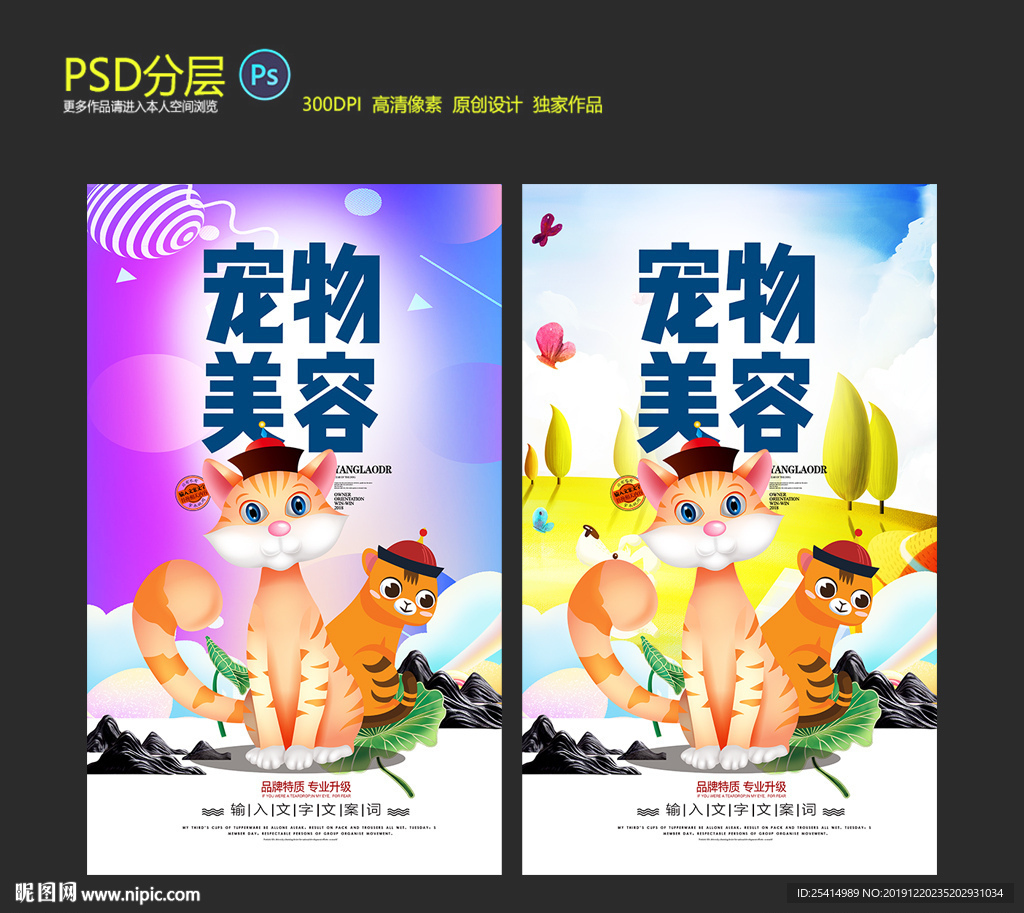 宠物美容 宠物店