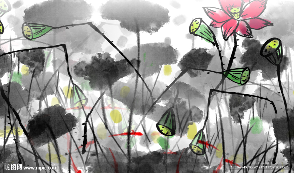 荷花图