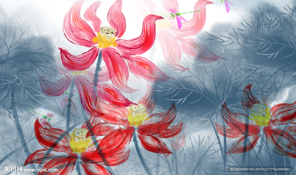 荷花