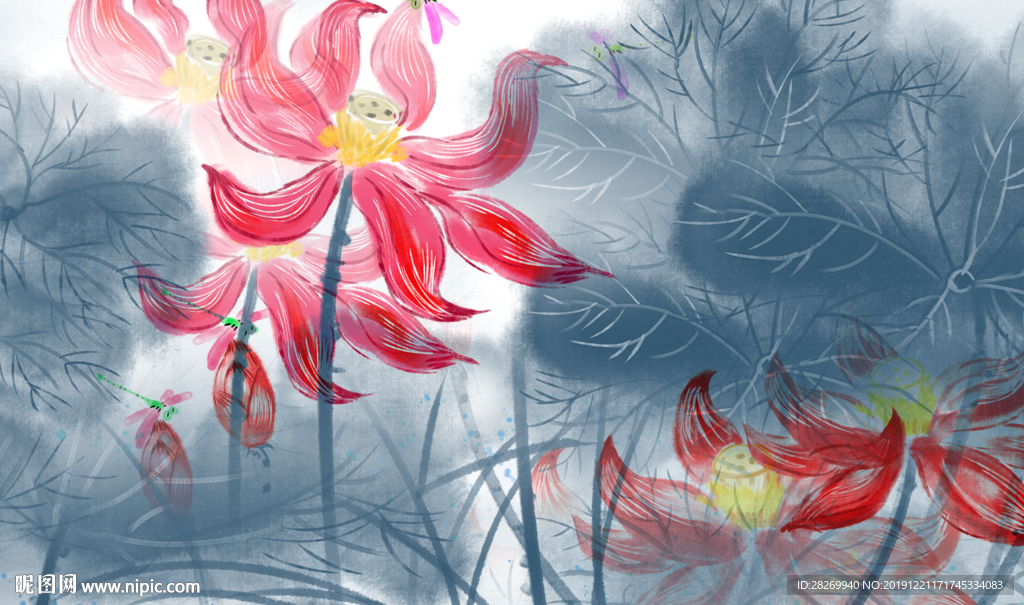 荷花图