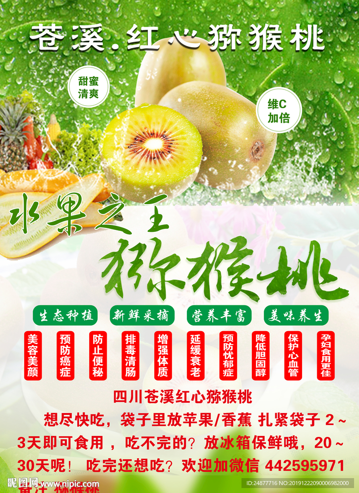 水果  宣传单 psd 分层图