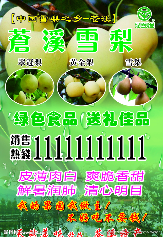 水果  宣传单 psd 分层图