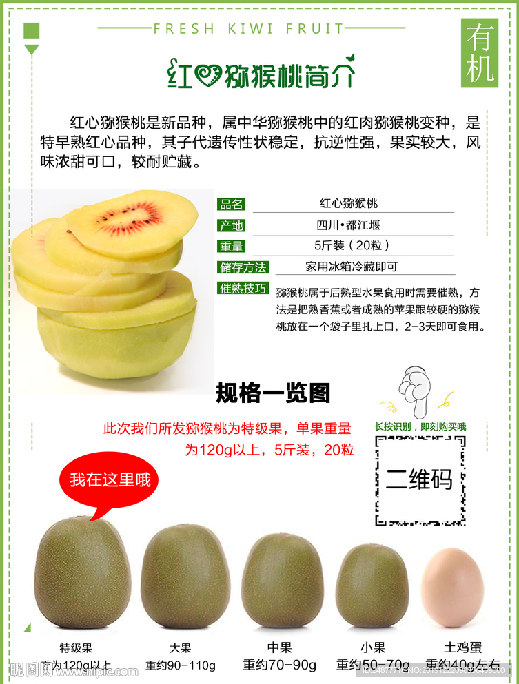 猕猴桃  宣传单 psd 分层