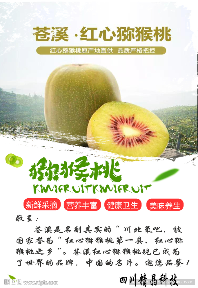 猕猴桃  宣传单 psd 分层