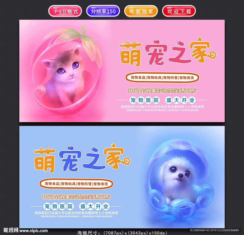 宠物