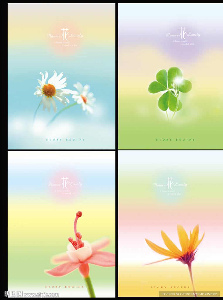 一花一世界