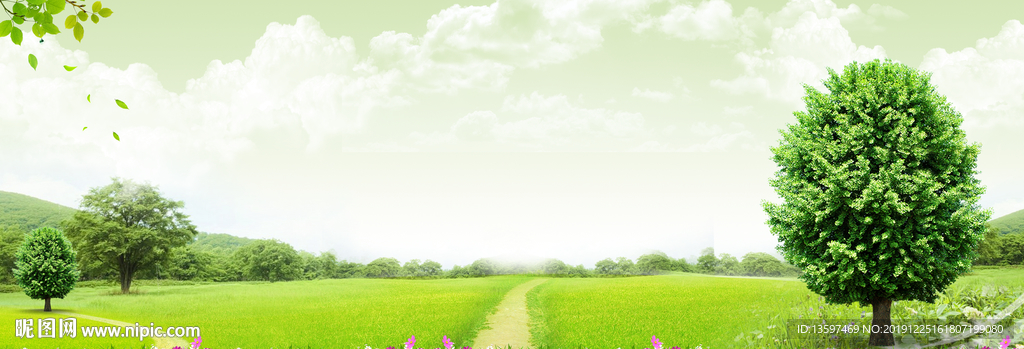 草地背景