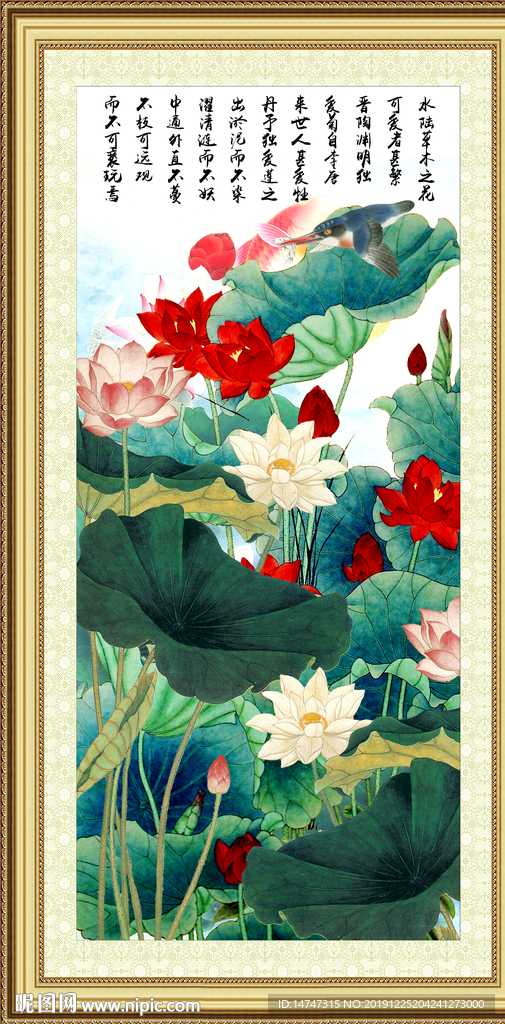玄关荷花