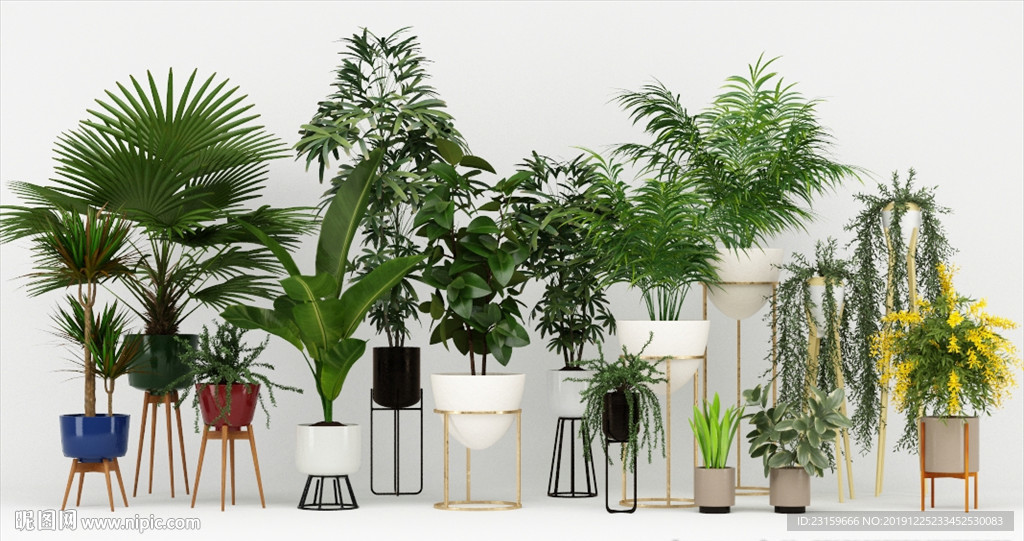14种装饰植物盆栽集合