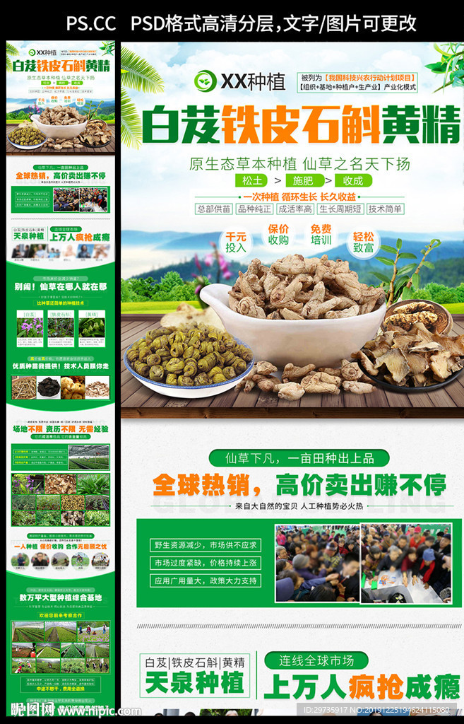 白芨黄精种植招商页面