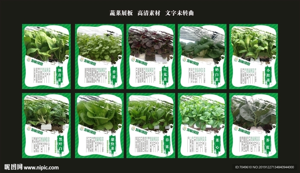 水培蔬菜 品类 农业展板
