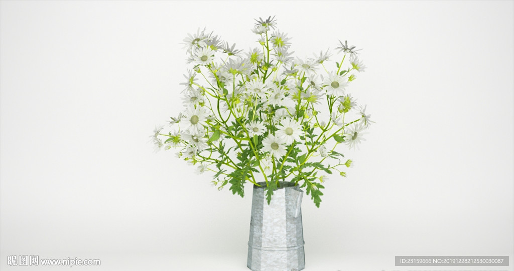 一壶小清新雏菊