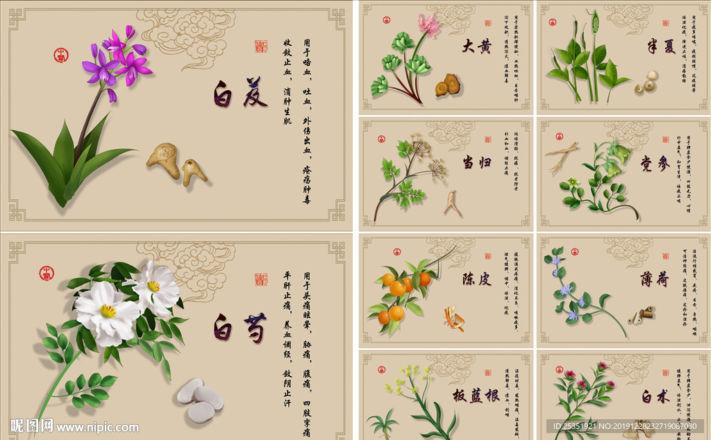 手绘中草药