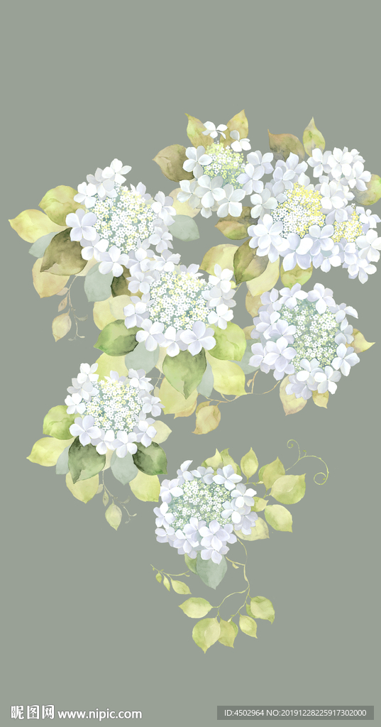 手绘绣球花