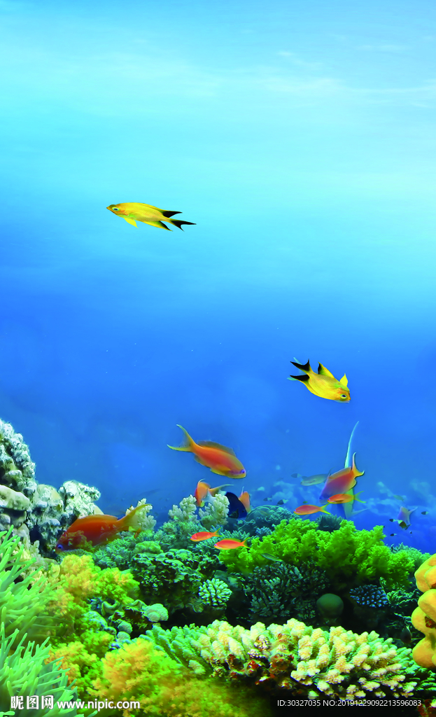 海底世界 鱼缸