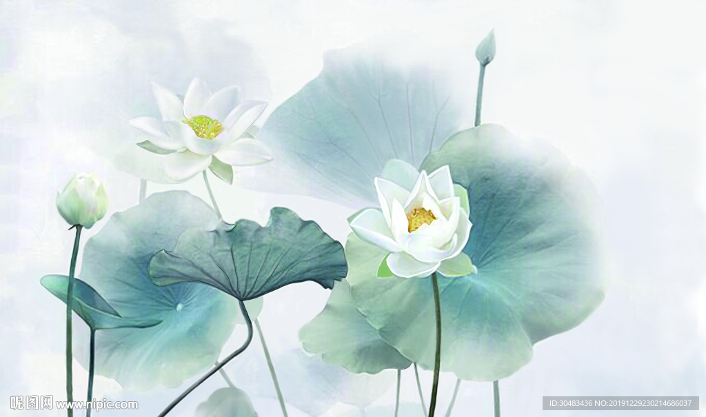 荷花背景电视墙