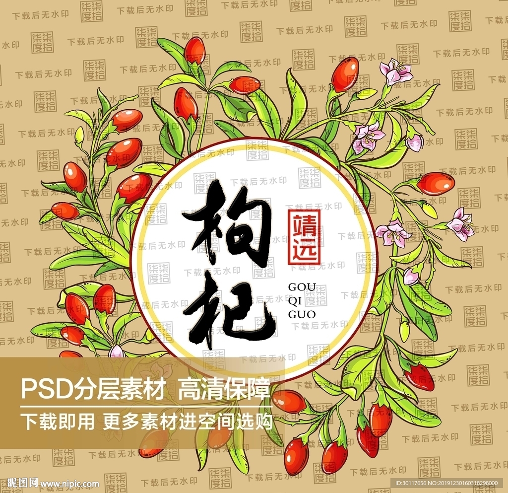 靖远枸杞果插画