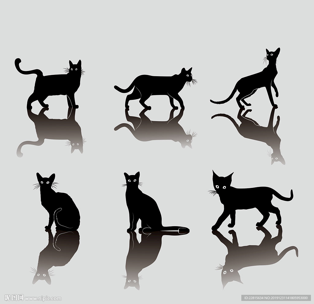 猫剪影猫插画