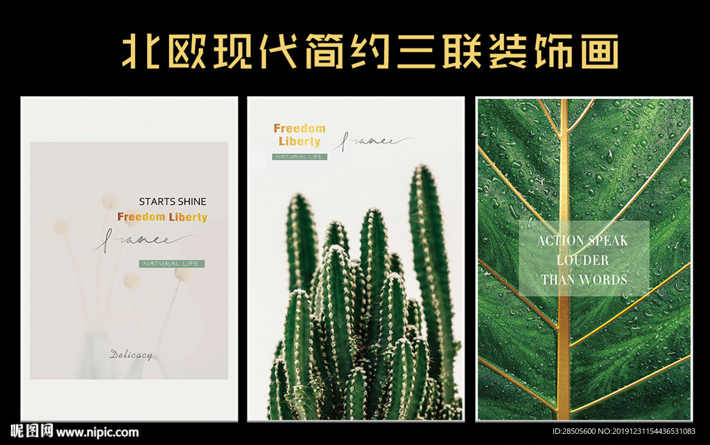 绿色植物装饰画