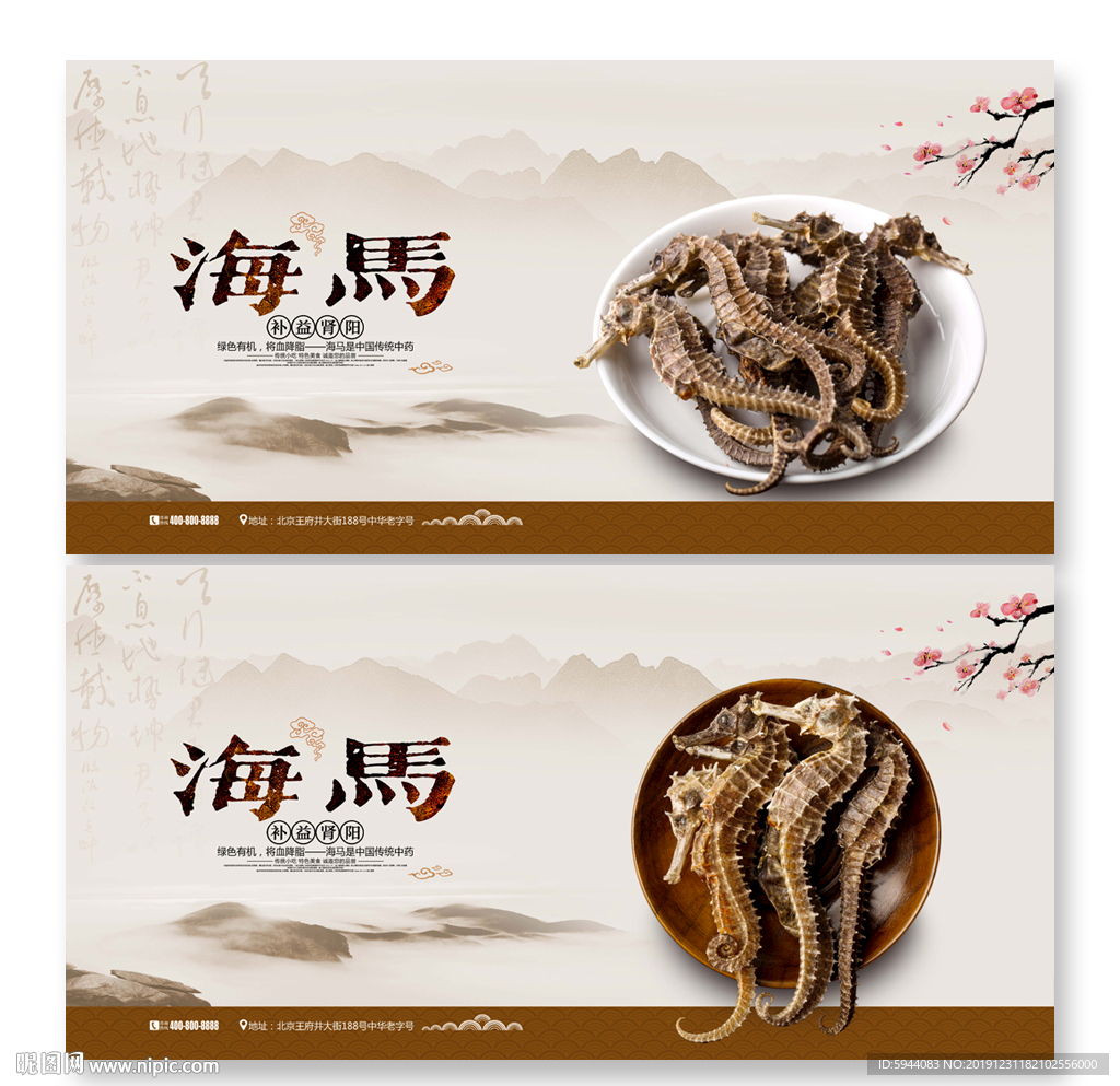 海马