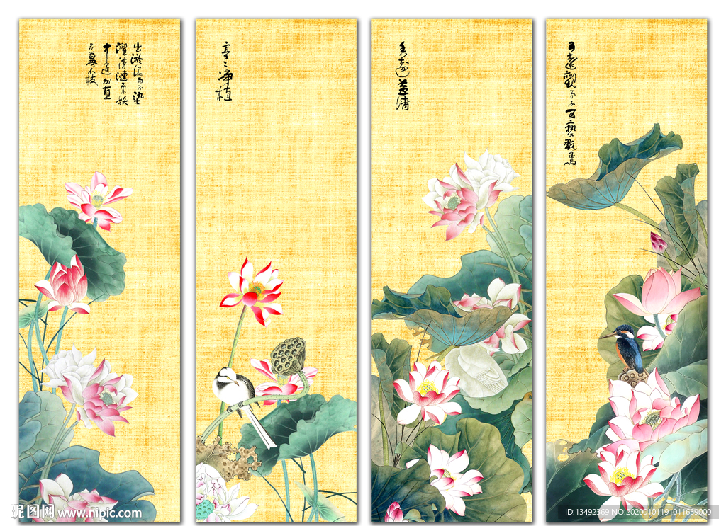 荷花图