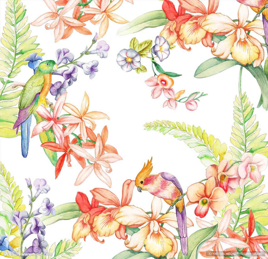 花鸟