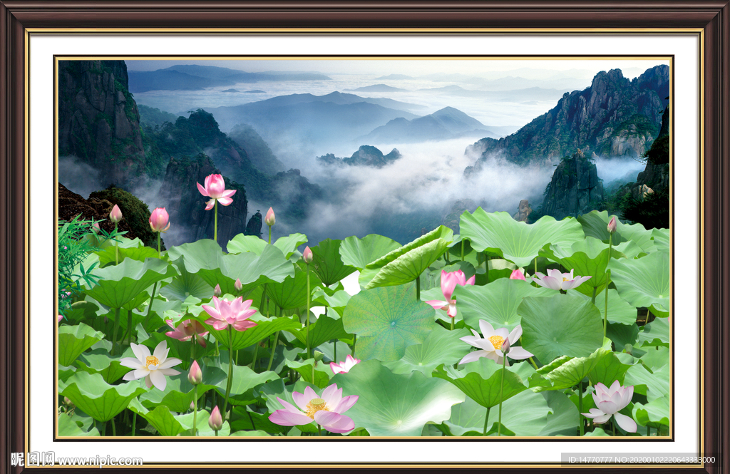 国画荷花