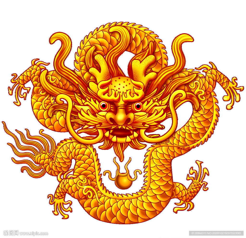 龙 金龙