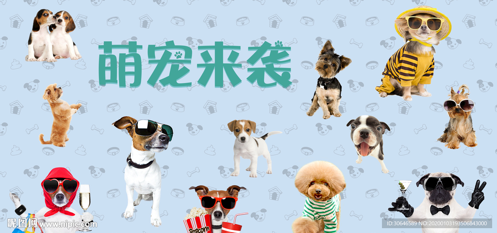 宠物生活馆宠物馆背景墙