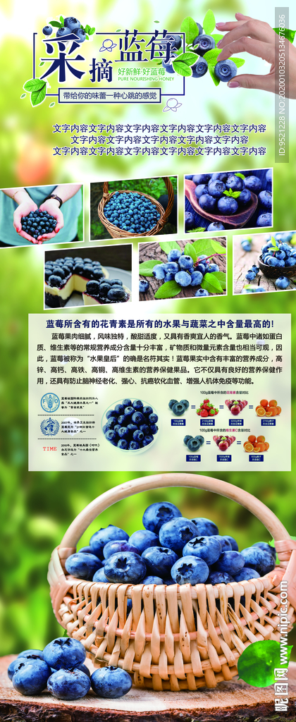 蓝莓采摘展架
