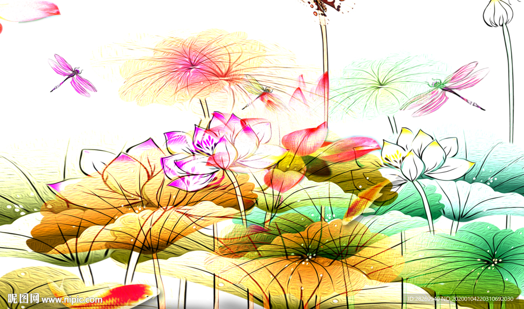 荷花