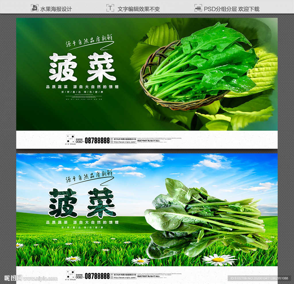 菠菜