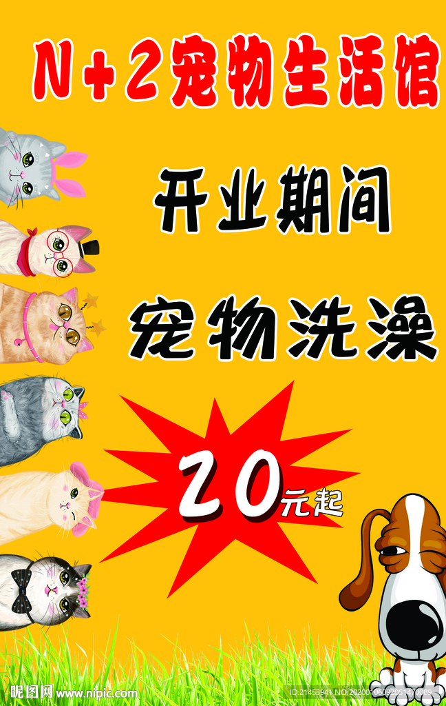 宠物