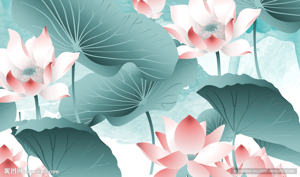 荷花