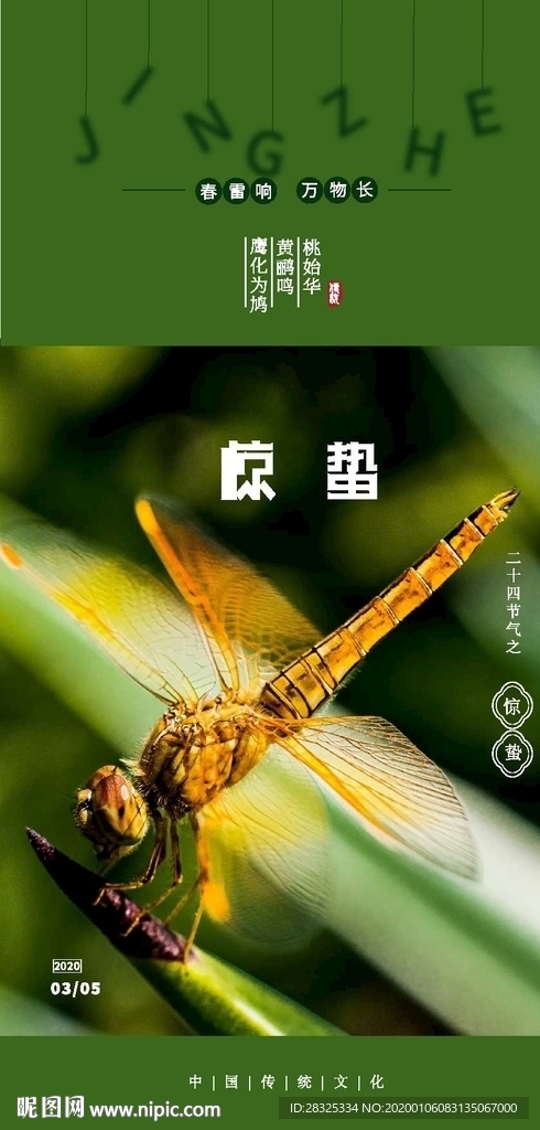 节气惊蛰