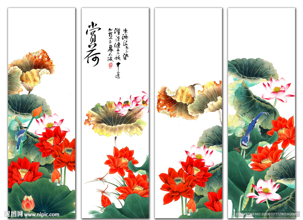 荷花