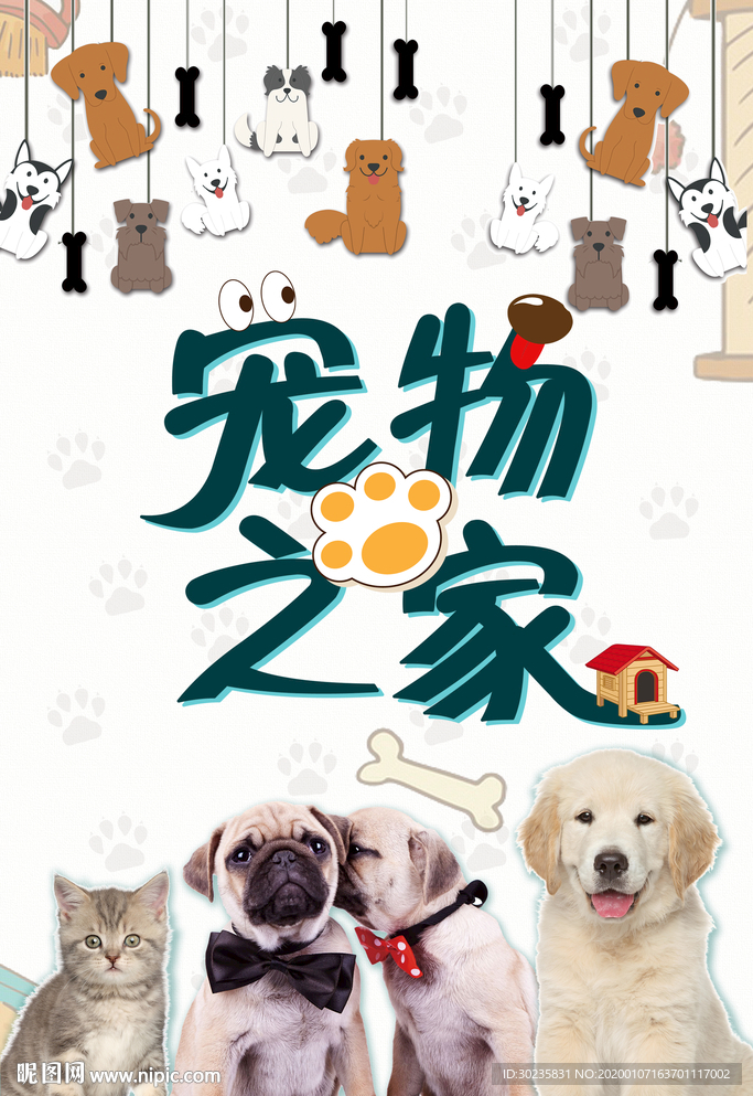 宠物之家
