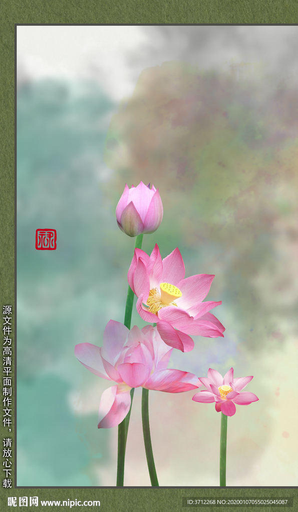 唯美荷花