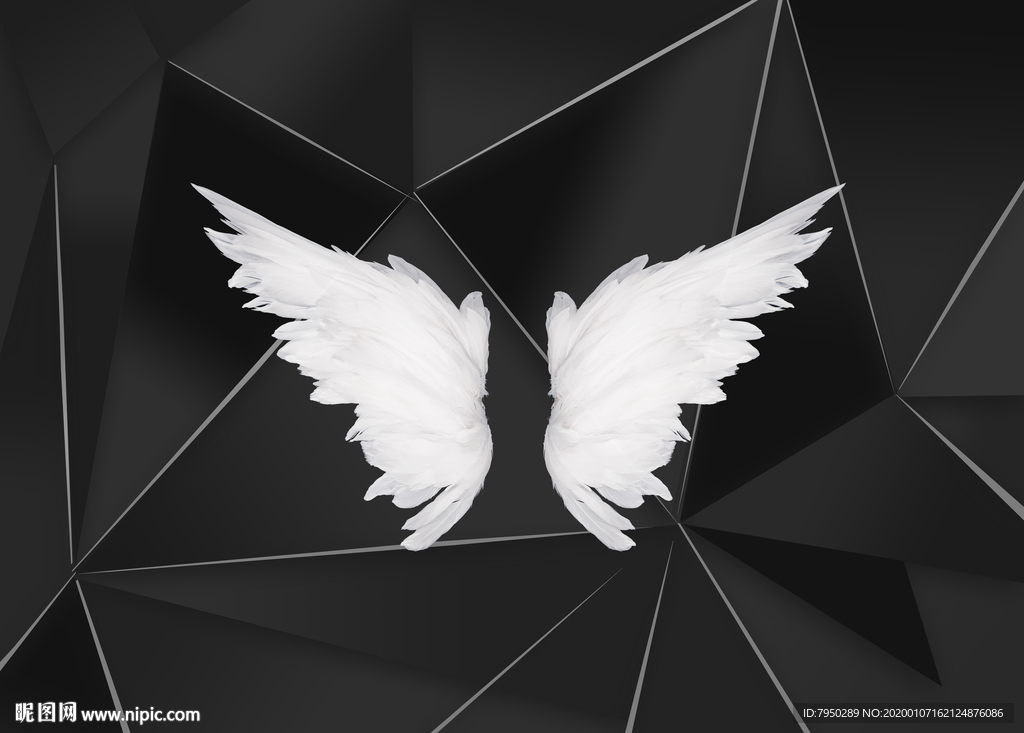 网红翅膀背景墙