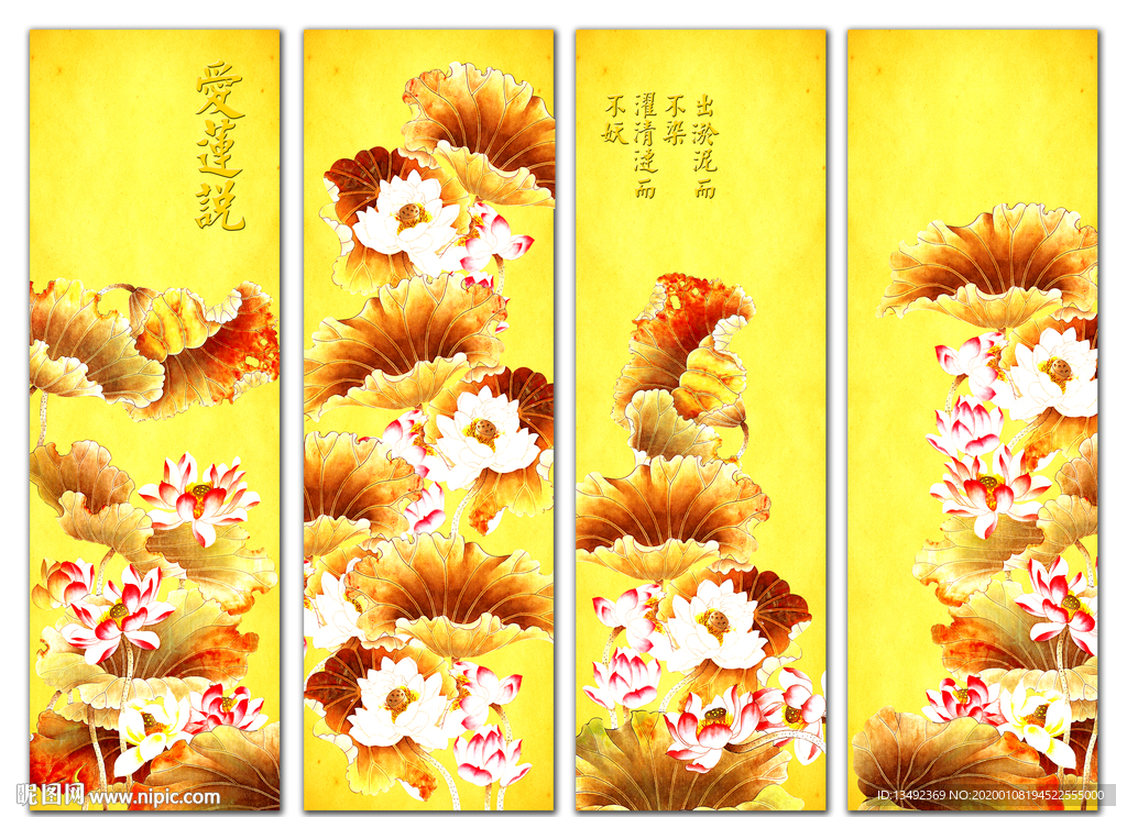 荷花