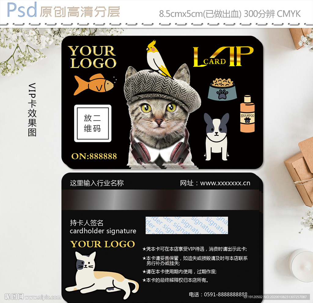 高端宠物店vip会员卡设计