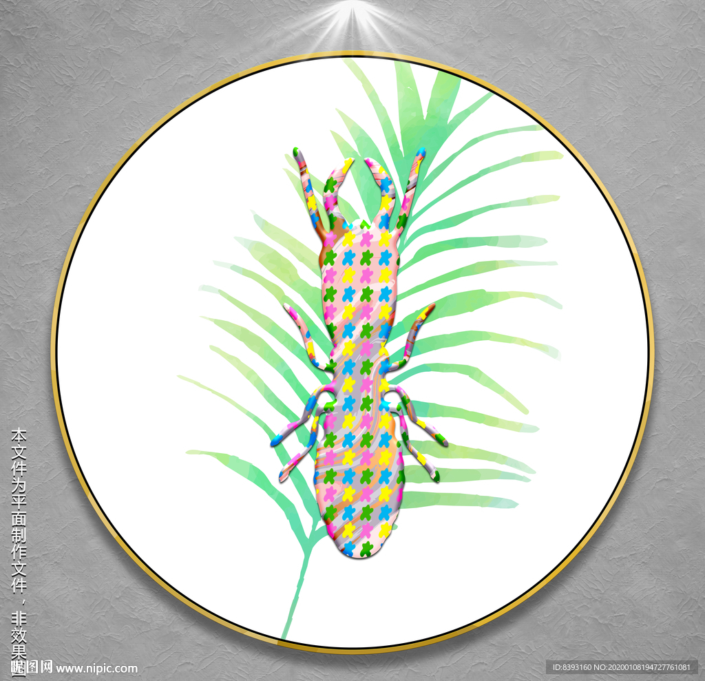甲虫插画