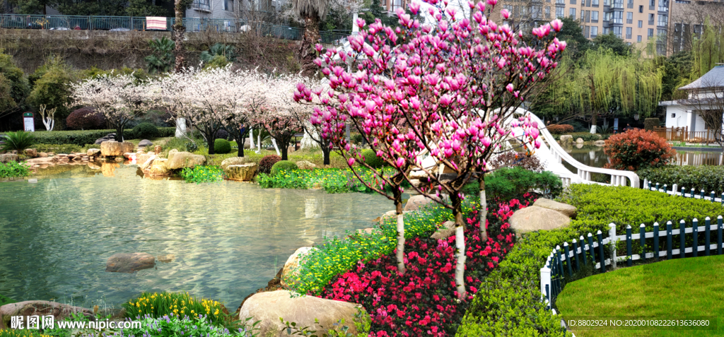 池塘景观效果图