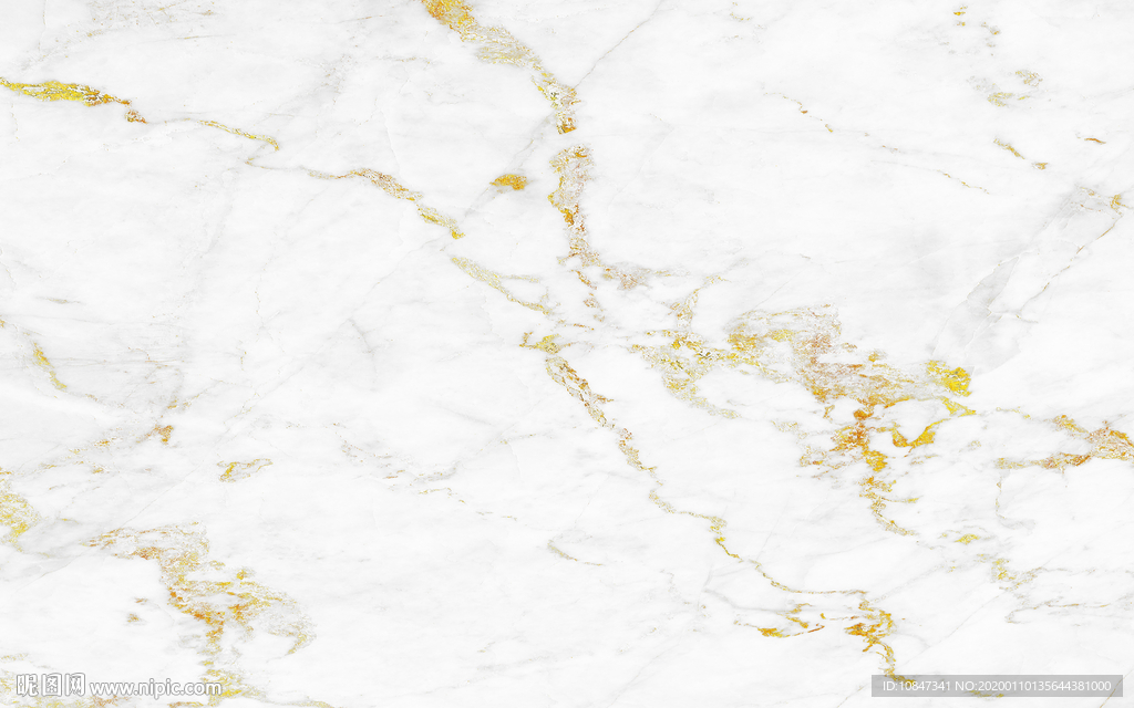 大堂金线鱼肚白 TIF合层