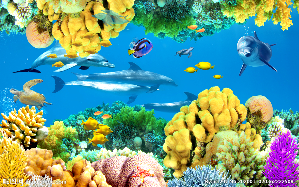 海底世界珊瑚礁鱼群海景电视背景