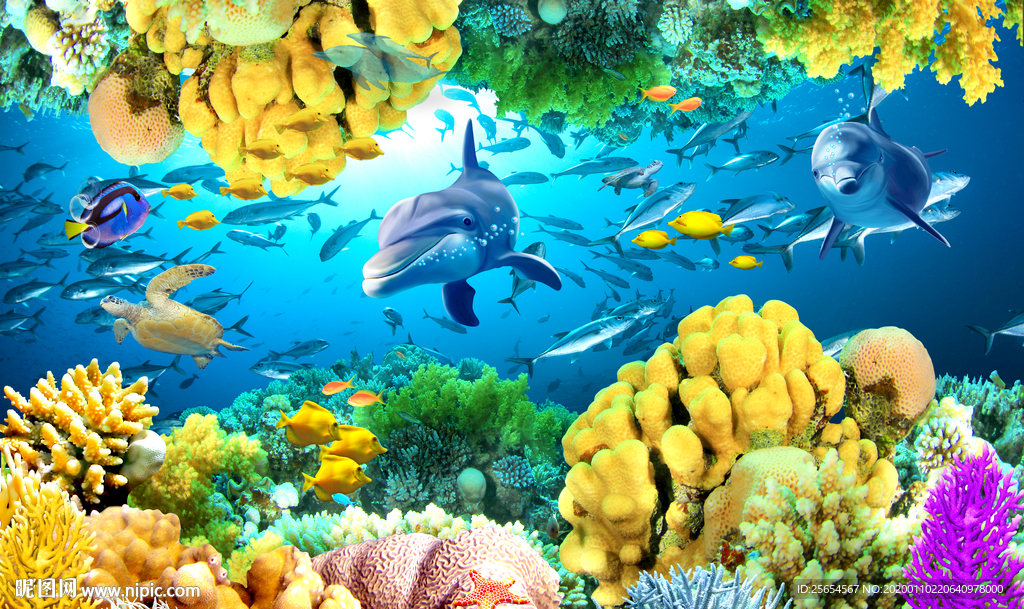海底世界珊瑚礁鱼群海景电视背景
