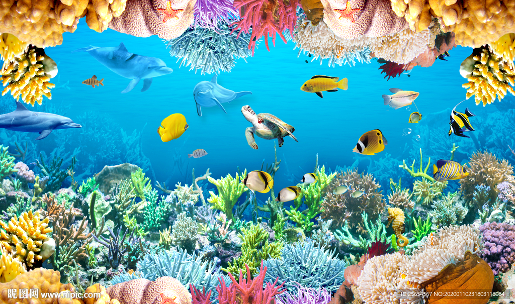 海底世界珊瑚礁鱼群电视背景