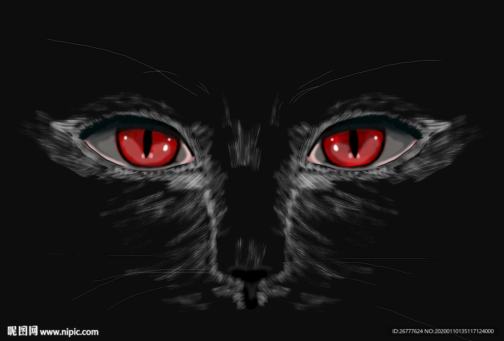 猫眼