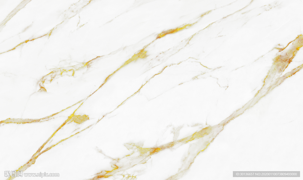 高档 天然鱼肚白 TIF合层