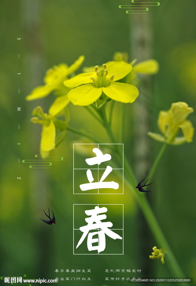 立春